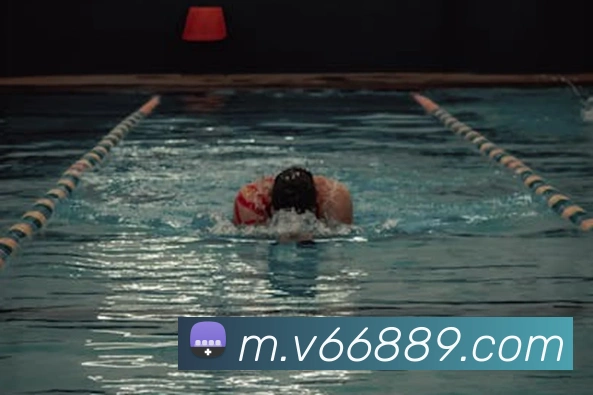 V66体育全站App